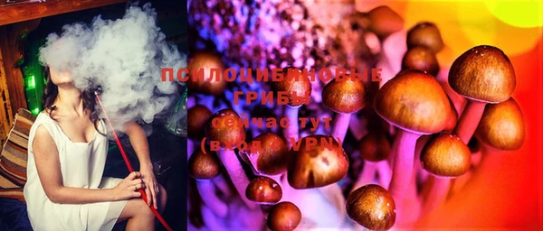 тгк Балахна